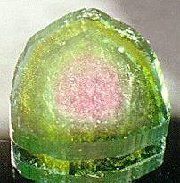 Cross-sectional slab of Watermelon Tourmaline